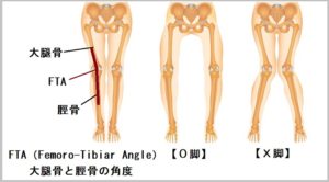ミズノ　ウェーブライダー22　発売日