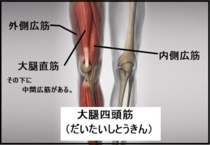 膝痛い ランニング 内側広筋