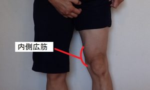 ランニング 内側広筋