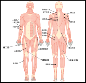 ランニング 膝の痛み 解消法