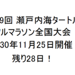 第39回瀬戸内海タートルフルマラソン全国大会