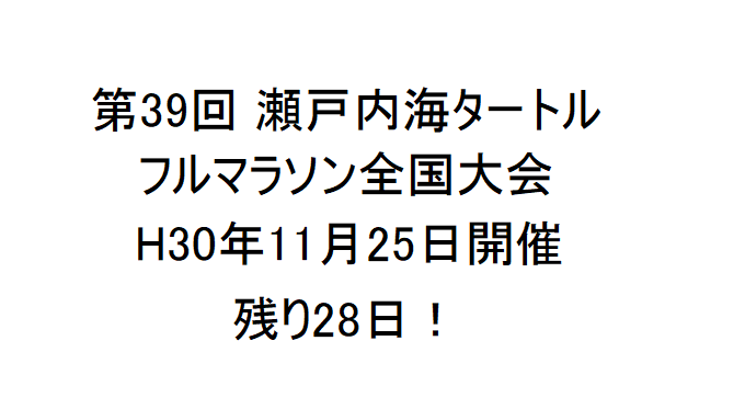 第39回瀬戸内海タートルフルマラソン全国大会