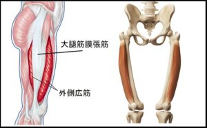 ランニング・外側広筋