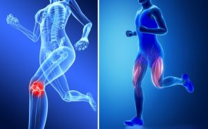 ランニング 内側広筋