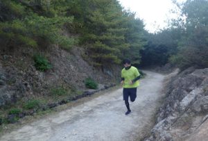 瀬戸内海タートル・フルマラソン全国