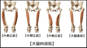膝蓋靭帯炎 ランニング 膝の痛み