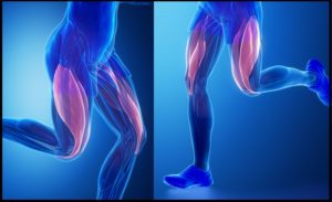 膝蓋靭帯炎 ランニング 膝の痛み