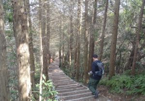 深山公園 トレイル