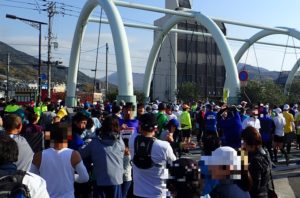 瀬戸内海タートルフルマラソン全国大会 コース