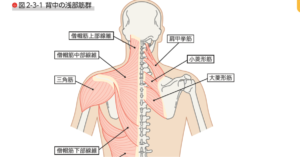 ランナー 肩こり 首こり　治療法