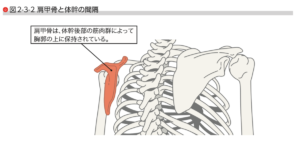 ランナー 肩こり 首こり　治療法