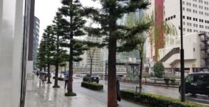 企画のたまご屋さん　利用