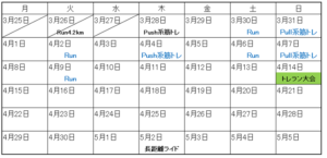倉敷国際トライアスロン