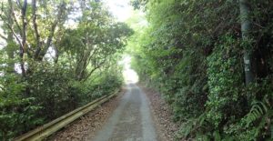 常山登山　玉野市