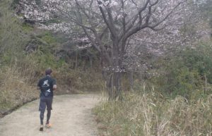 ランナーのための花粉症対策　花粉症に悩むランナー　ランニング