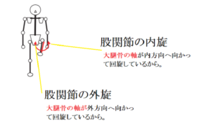 引用：背骨のしくみと動きがわかる本（秀和システム：石部伸之著）