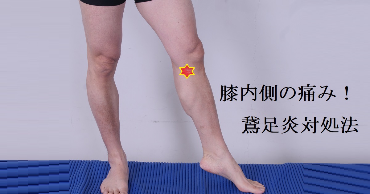 良い寝姿勢を見つける