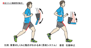 腸腰筋ストレッチ　ロードバイク　ランニング