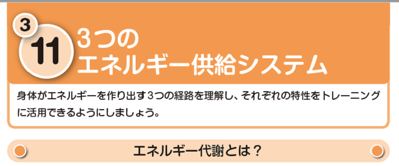 正月太り解消　正月太りダイエット