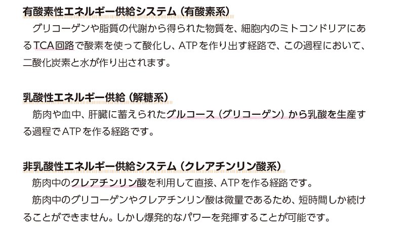 正月太り解消　正月太りダイエット