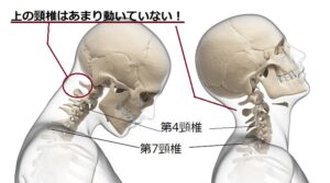 頸椎の動き　#逆ストレッチ