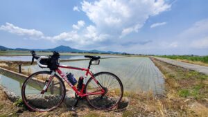ロードバイク再開