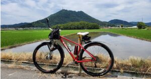 ロードバイク再開